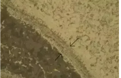 1624495964632735.png image.png