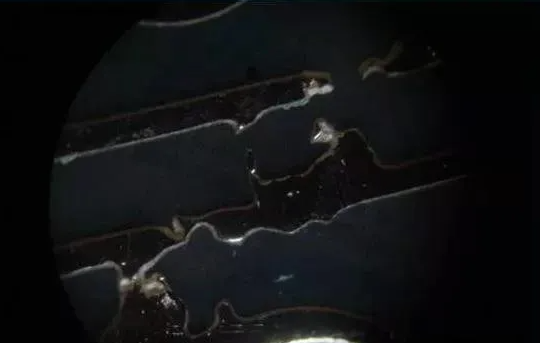 1635903338143265.png image.png